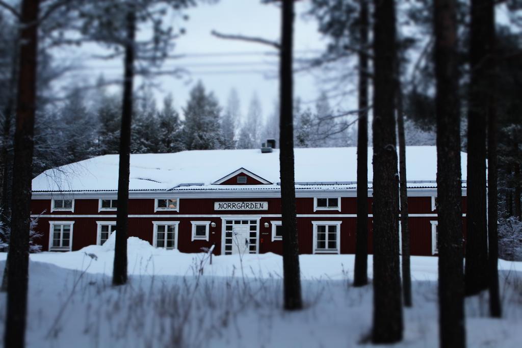 Svanstein Lodge Экстерьер фото